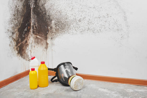 Best Mold Testing  in Monroe, UT