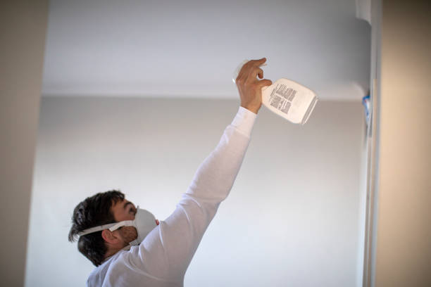 Best Mold Remediation  in Monroe, UT