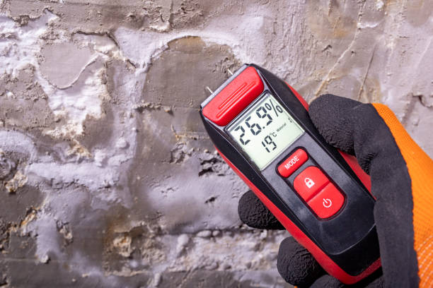 Monroe, UT Mold Removal Company